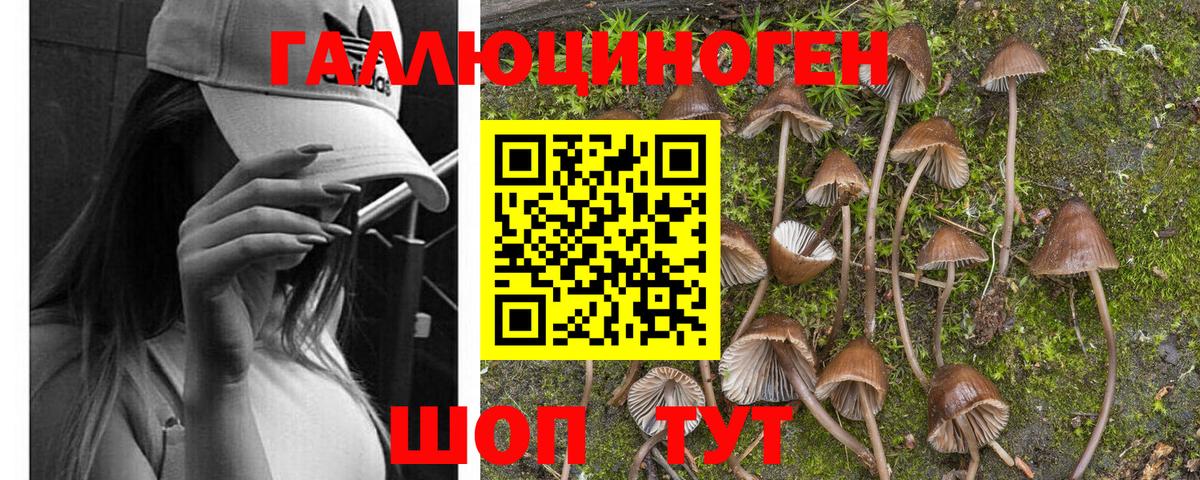 дарнет шоп  Псилоцибиновые грибы Magic Shrooms  Вход с VPN  Мелеуз 