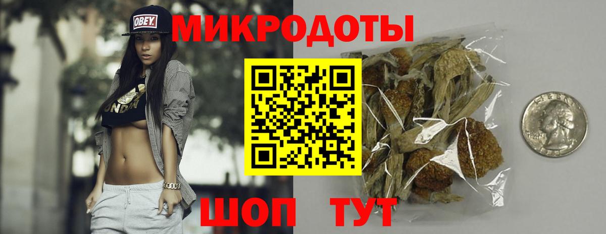 Псилоцибиновые грибы Psilocybine cubensis Мелеуз
